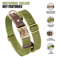 Collier & Laisse pour Chien- Cuir PU Personnalisé (Set)