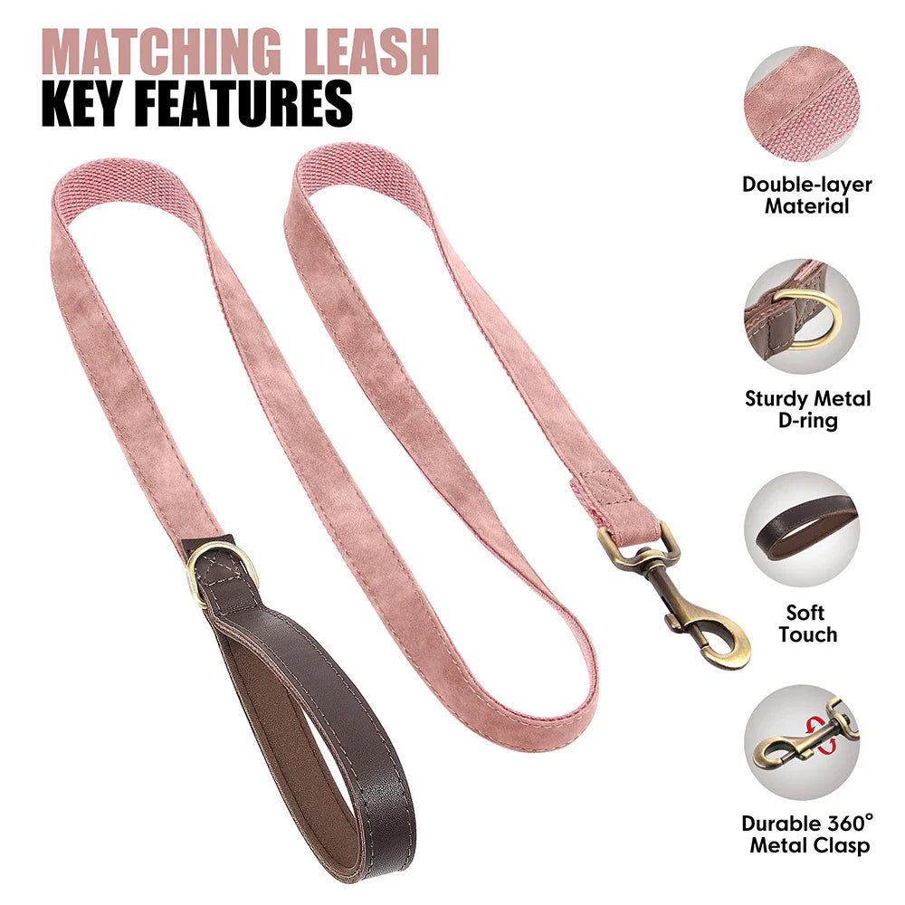 Personalized PU Leather Dog Collar and Leash-2