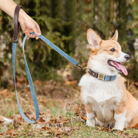 Collier & Laisse pour Chien- Cuir PU Personnalisé (Set)