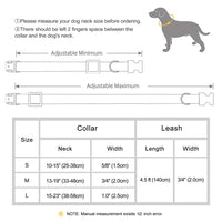 Collier & Laisse pour Chien- Cuir PU Personnalisé (Set)