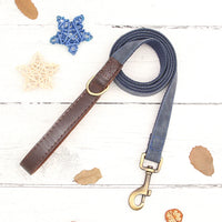 Collier & Laisse pour Chien- Cuir PU Personnalisé (Set)