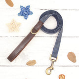Collier & Laisse pour Chien- Cuir PU Personnalisé (Set)