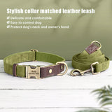 Collier & Laisse pour Chien- Cuir PU Personnalisé (Set)