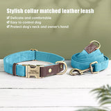 Collier & Laisse pour Chien- Cuir PU Personnalisé (Set)