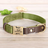 Collier & Laisse pour Chien- Cuir PU Personnalisé (Set)