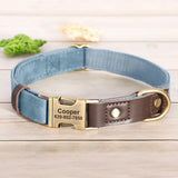 Collier & Laisse pour Chien- Cuir PU Personnalisé (Set)