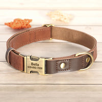 Collier & Laisse pour Chien- Cuir PU Personnalisé (Set)
