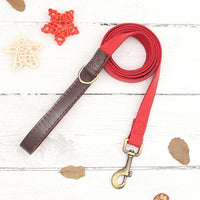 Collier & Laisse pour Chien- Cuir PU Personnalisé (Set)