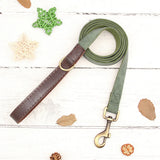 Collier & Laisse pour Chien- Cuir PU Personnalisé (Set)