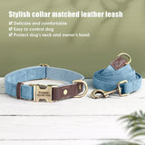 Collier & Laisse pour Chien- Cuir PU Personnalisé (Set)
