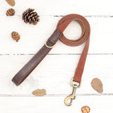 Collier & Laisse pour Chien- Cuir PU Personnalisé (Set)