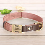 Collier & Laisse pour Chien- Cuir PU Personnalisé (Set)