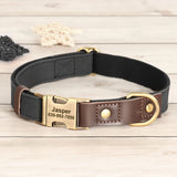 Collier & Laisse pour Chien- Cuir PU Personnalisé (Set)