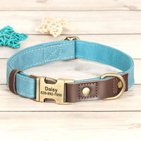 Collier & Laisse pour Chien- Cuir PU Personnalisé (Set)