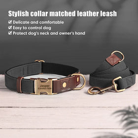 Collier & Laisse pour Chien- Cuir PU Personnalisé (Set)