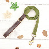 Collier & Laisse pour Chien- Cuir PU Personnalisé (Set)