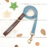 Collier & Laisse pour Chien- Cuir PU Personnalisé (Set)