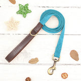 Collier & Laisse pour Chien- Cuir PU Personnalisé (Set)
